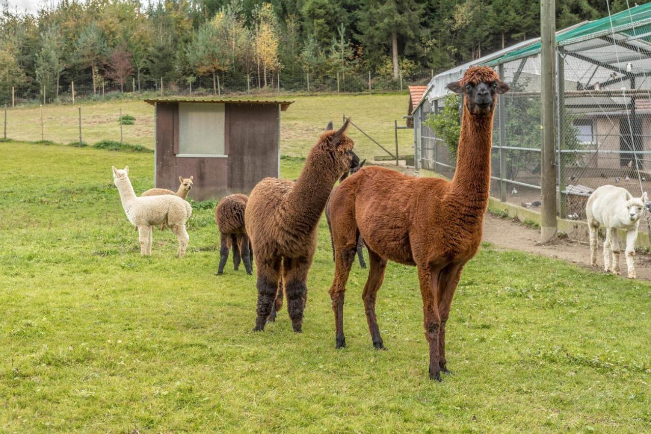 Zapfs Bauernhof Stiefmuetterchen Apartamento Tettnang Exterior foto